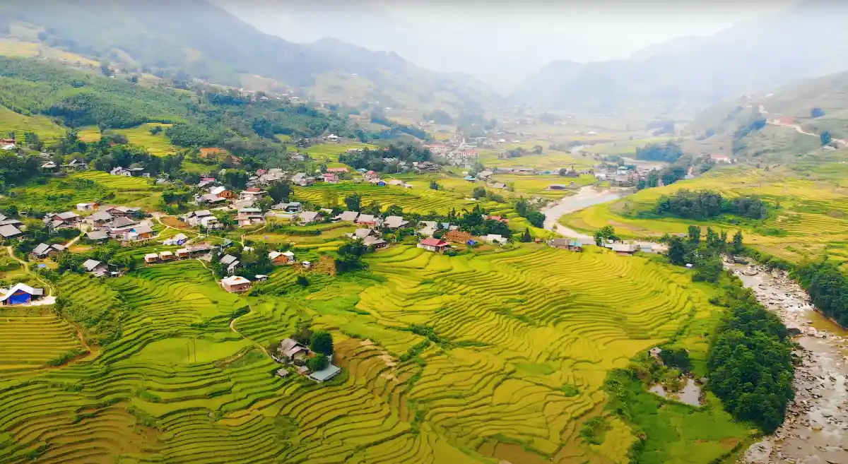 Aerial view of golden rice terraces and village in Sapa valley